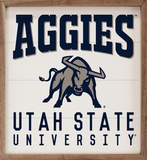 Traditional Utah State University